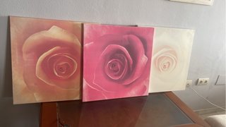 Cuadro de 3 rosas