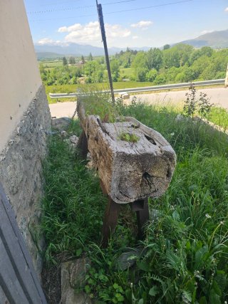 Tronco de madera tropical antiguo mas de 300 años