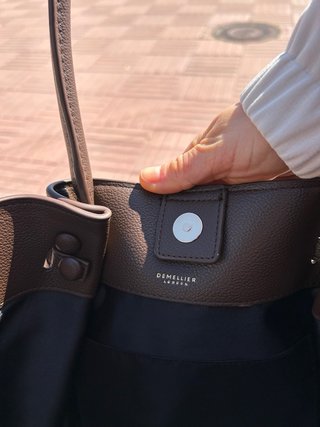 Bolso Demelier Marrón