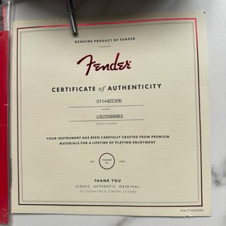 Fender Stratocaster American Performer