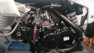 Pitbike Maxxon 190 Supermoto