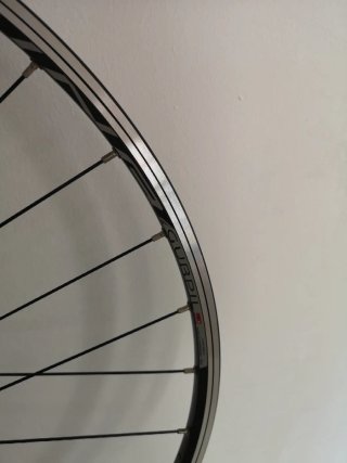 Rueda tras carretera Gurpil Chrina N campgnolo
