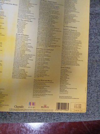 LP The Waterboys Room to Roam