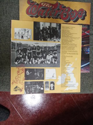 LP The Waterboys Room to Roam