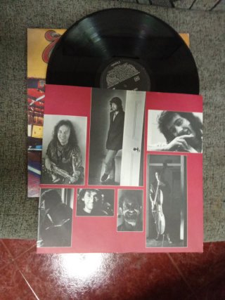 LP The Waterboys Room to Roam
