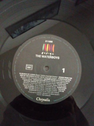 LP The Waterboys Room to Roam