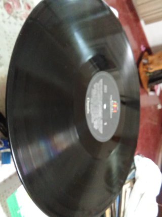 LP The Waterboys Room to Roam