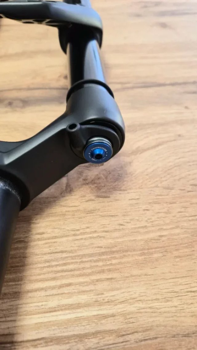 Horquilla DT Swiss F232 ONE 110mm 29 y 27.5 Boost
