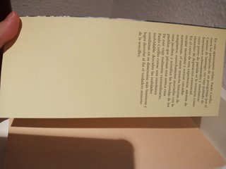 El peregrino de Compostela (Diario de un mago)