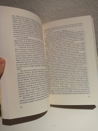 El peregrino de Compostela (Diario de un mago)