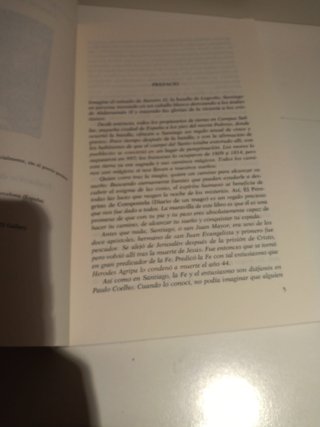 El peregrino de Compostela (Diario de un mago)