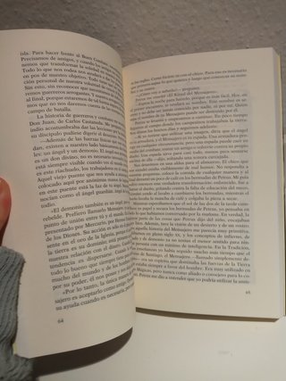 El peregrino de Compostela (Diario de un mago)