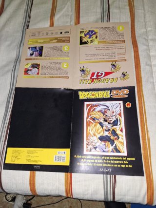 Póster Dragon Ball GT