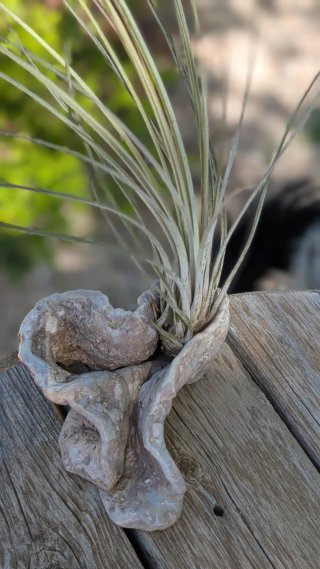 Soporte Cerámica Artesanal para Plantas de Aire