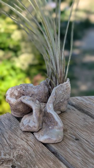 Soporte Cerámica Artesanal para Plantas de Aire