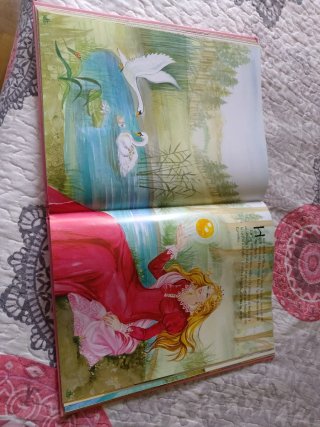 Libro de Princesas
