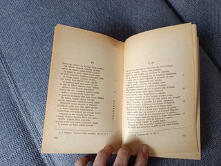 Literatura Clásica Poemas Propercio