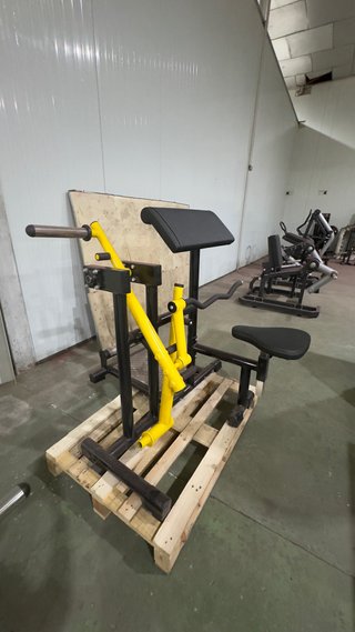 Máquina de Curl de Bíceps Profesional
