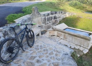 Cannondale F-Si Carbon 5