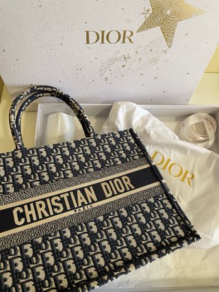 Borsa Dior Book Tote Media Beige/Blu