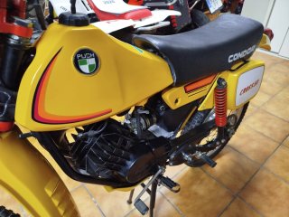 Puch Minicross Condor 1