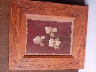 Vari quadri con cornice in legno