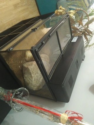 Terrario y Lámpara para Terrario
