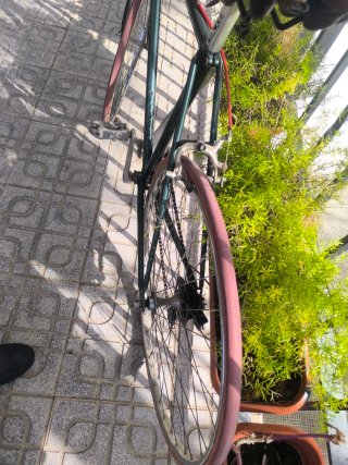 Bicicleta Clásica Vintage