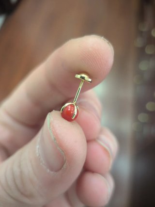 Pendientes Oro 4 Garras Coral tamaño grande