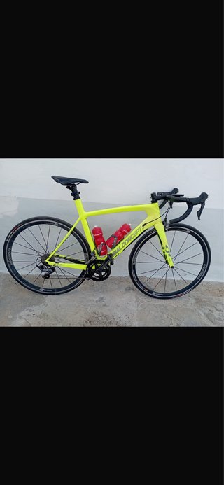 Bicicleta Global Concept Carbono