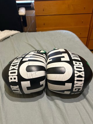 Guantes de Boxeo Leone Italian Style