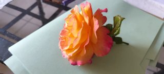 Orecchini Rosa Peace