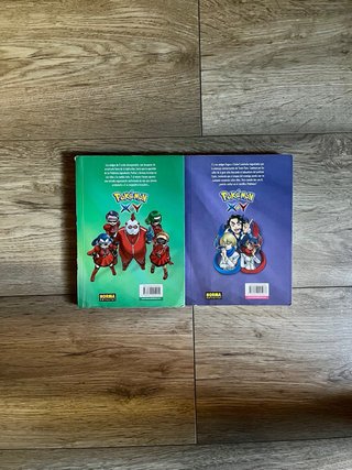 Pokémon X-Y V1 y V2