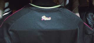 Camiseta Perú Adidas