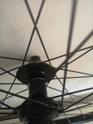 Rueda MTB Gurpil 29 Buje Shimano Center Lock