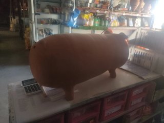 Hucha Cerdo Gigante