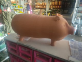 Hucha Cerdo Gigante