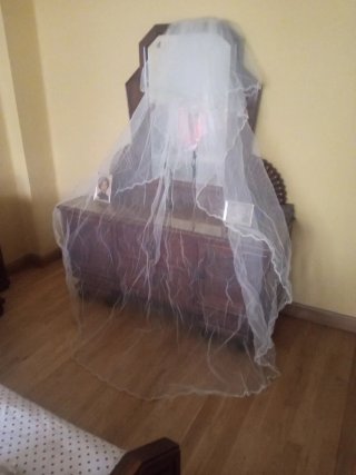 Vestido de Novia Pronovias Blanco con velo.