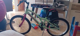 Bicicleta infantil 20