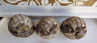 3 Buhos Decorativos Beige y Dorado