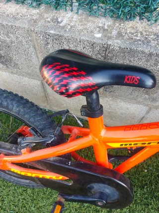 Bicicleta Infantil Monty 103 Naranja