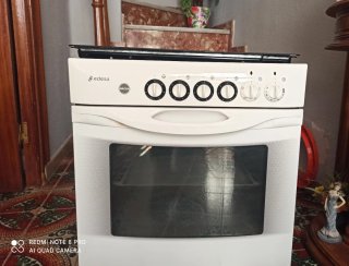 Horno y Placa Edesa