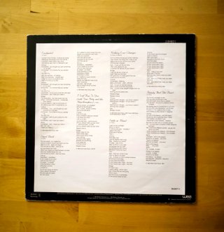 VINILO LP STEVIE NICKS
