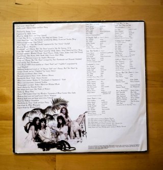 VINILO LP STEVIE NICKS