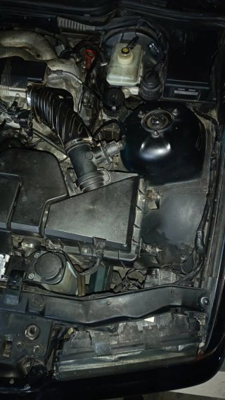 BMW 318is