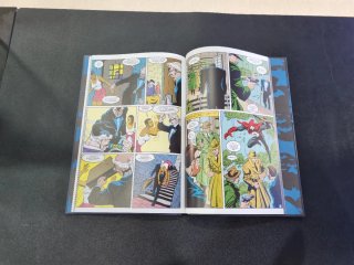 CÓMIC BATMAN: LA BÚSQUEDA - NÚMERO 31