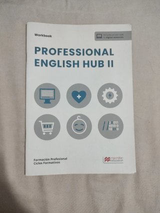 Professional English Hub II