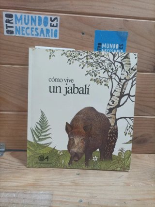 Libros sobre animales para niños