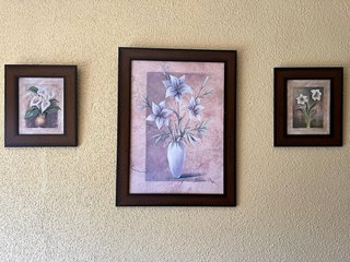 Set di 2 quadri floreali