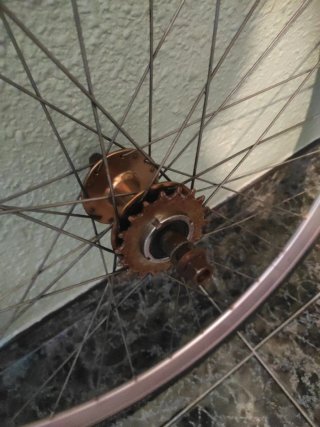 Llantas Fixie